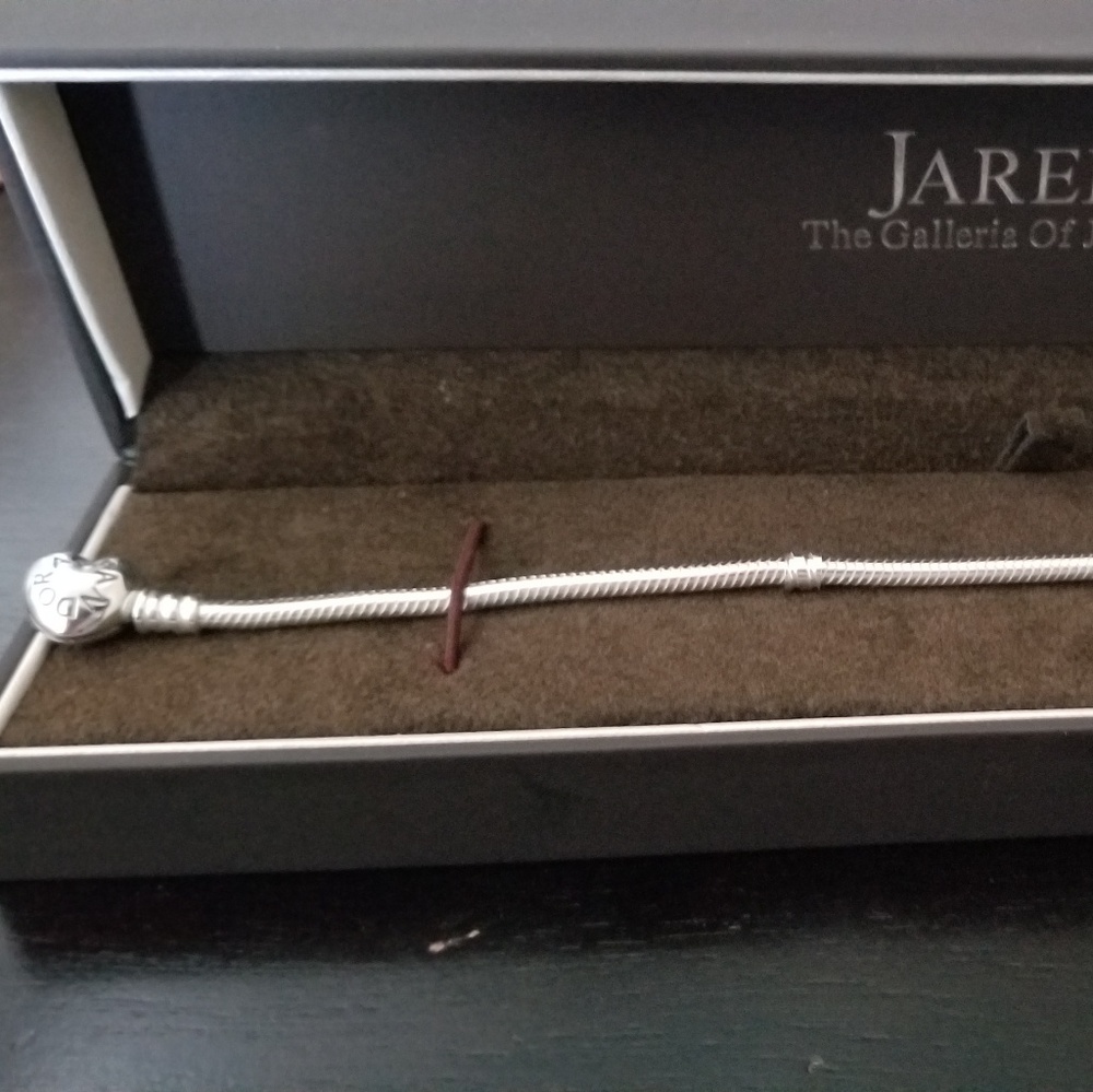 Pandora Charm Bracelet